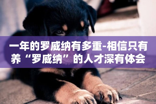一年的羅威納有多重-相信只有養“羅威納”的人才深有體會