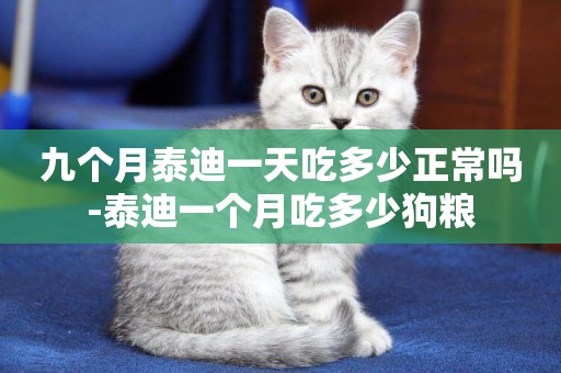 九個月泰迪一天吃多少正常嗎-泰迪一個月吃多少狗糧