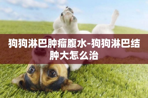 狗狗淋巴腫瘤腹水-狗狗淋巴結腫大怎么治