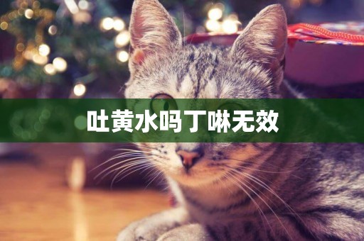吐黃水嗎丁啉無效