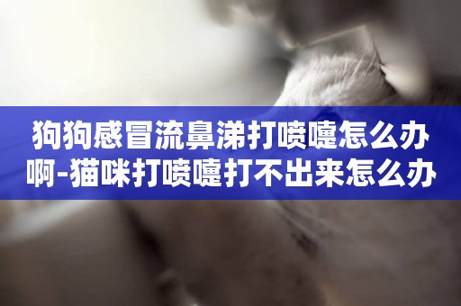 狗狗感冒流鼻涕打噴嚏怎么辦啊-貓咪打噴嚏打不出來怎么辦