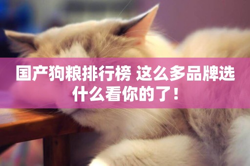 國產狗糧排行榜 這么多品牌選什么看你的了！