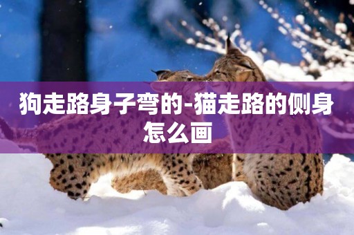 狗走路身子彎的-貓走路的側身怎么畫