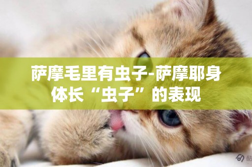 薩摩毛里有蟲子-薩摩耶身體長“蟲子”的表現