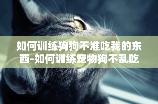 如何訓練狗狗不準吃我的東西-如何訓練寵物狗不亂吃東西