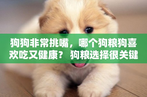 狗狗非常挑嘴，哪個狗糧狗喜歡吃又健康？ 狗糧選擇很關鍵