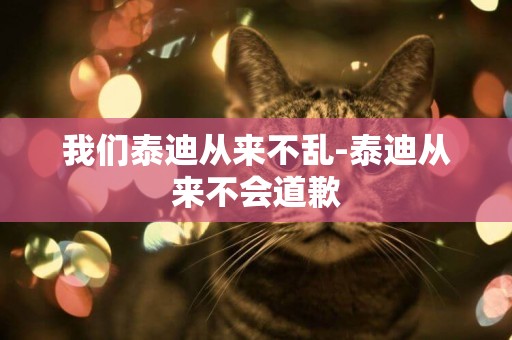 我們泰迪從來不亂-泰迪從來不會道歉