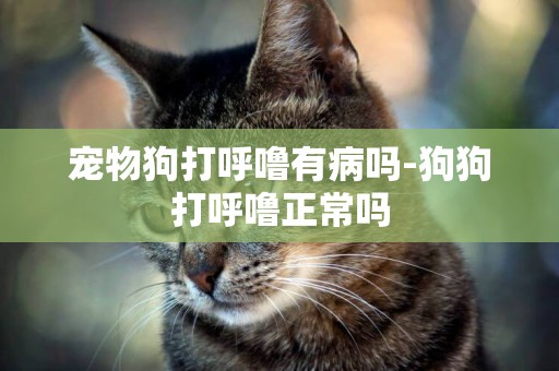 寵物狗打呼嚕有病嗎-狗狗打呼嚕正常嗎