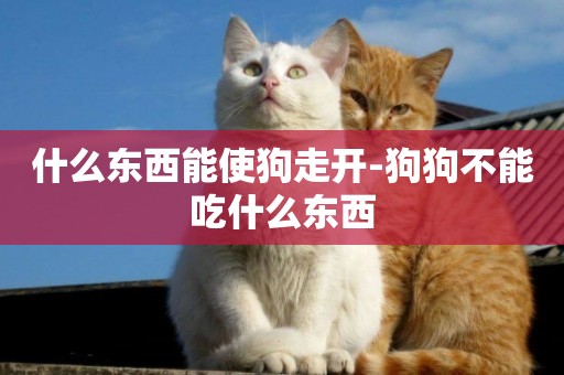 什么東西能使狗走開-狗狗不能吃什么東西
