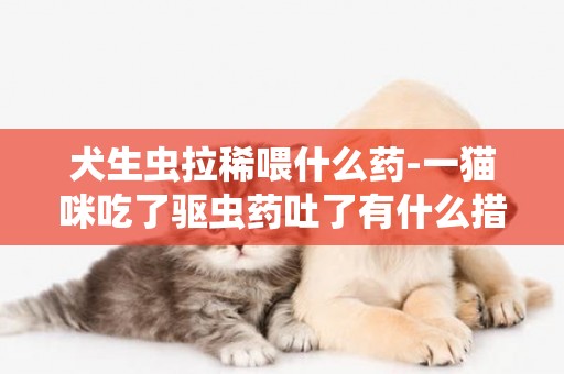 犬生蟲拉稀喂什么藥-一貓咪吃了驅蟲藥吐了有什么措施
