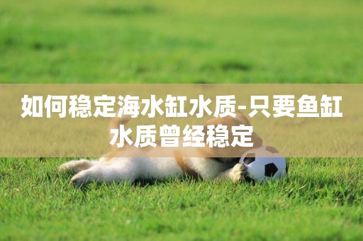 如何穩定海水缸水質-只要魚缸水質曾經穩定