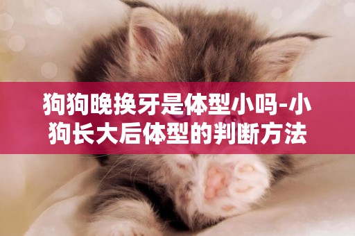 狗狗晚換牙是體型小嗎-小狗長大后體型的判斷方法