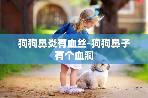 狗狗鼻炎有血絲-狗狗鼻子有個血洞