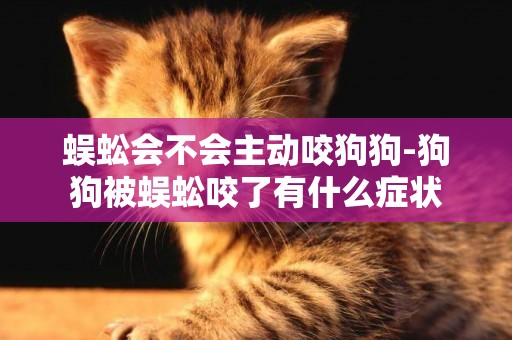 蜈蚣會不會主動咬狗狗-狗狗被蜈蚣咬了有什么癥狀
