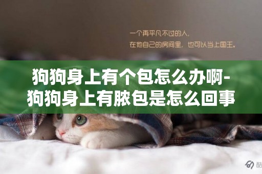 狗狗身上有個包怎么辦啊-狗狗身上有膿包是怎么回事