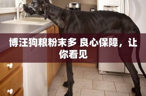 博汪狗糧粉末多 良心保障，讓你看見