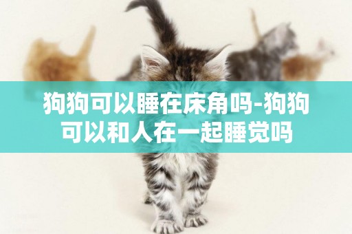 狗狗可以睡在床角嗎-狗狗可以和人在一起睡覺嗎
