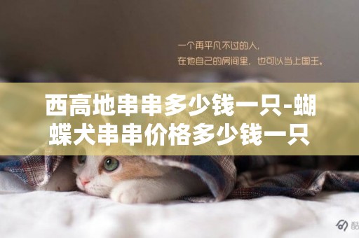 西高地串串多少錢一只-蝴蝶犬串串價格多少錢一只