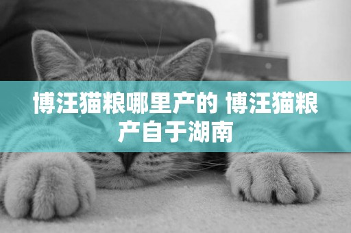 博汪貓糧哪里產的 博汪貓糧產自于湖南