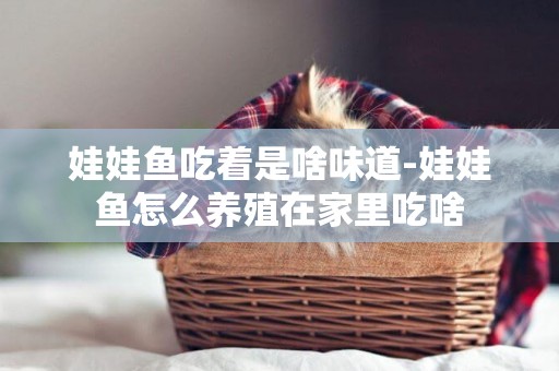 娃娃魚吃著是啥味道-娃娃魚怎么養殖在家里吃啥