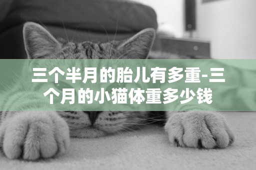 三個半月的胎兒有多重-三個月的小貓體重多少錢