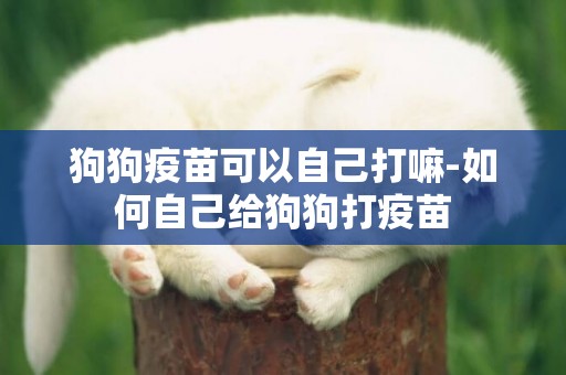 狗狗疫苗可以自己打嘛-如何自己給狗狗打疫苗