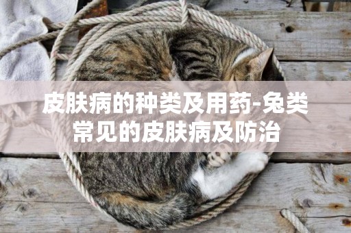 皮膚病的種類及用藥-兔類常見的皮膚病及防治