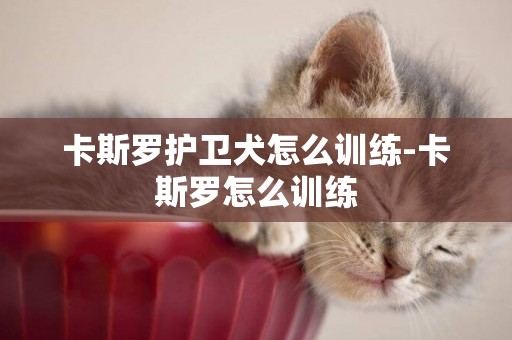 卡斯羅護衛犬怎么訓練-卡斯羅怎么訓練