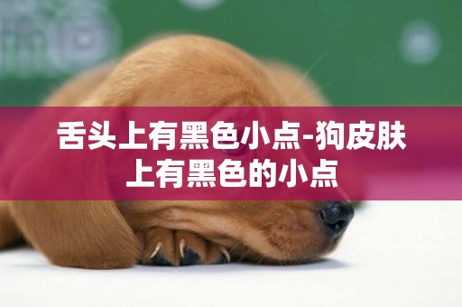 舌頭上有黑色小點-狗皮膚上有黑色的小點