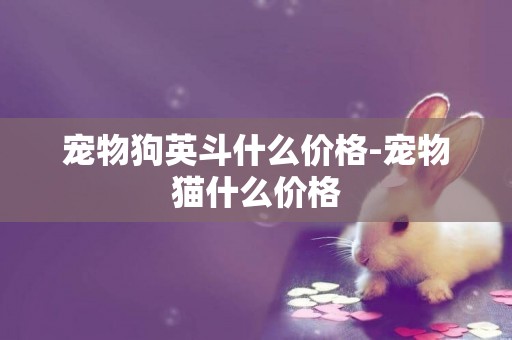 寵物狗英斗什么價格-寵物貓什么價格