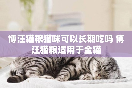 博汪貓糧貓咪可以長期吃嗎 博汪貓糧適用于全貓