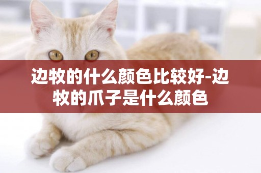 邊牧的什么顏色比較好-邊牧的爪子是什么顏色