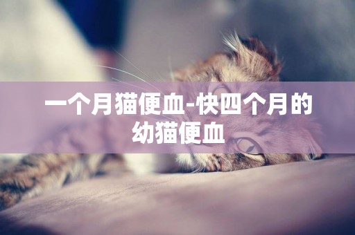 一個月貓便血-快四個月的幼貓便血