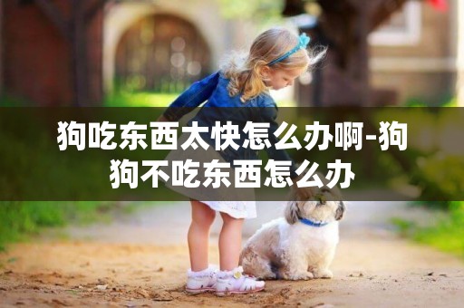 狗吃東西太快怎么辦啊-狗狗不吃東西怎么辦