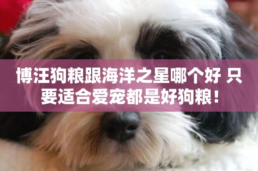博汪狗糧跟海洋之星哪個好 只要適合愛寵都是好狗糧！