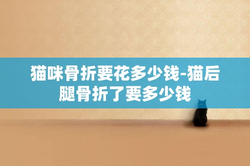 貓咪骨折要花多少錢-貓后腿骨折了要多少錢