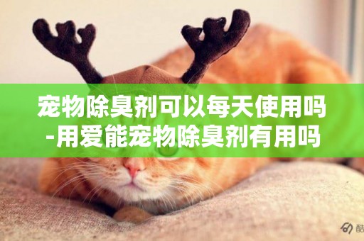 寵物除臭劑可以每天使用嗎-用愛能寵物除臭劑有用嗎
