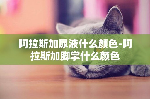 阿拉斯加尿液什么顏色-阿拉斯加腳掌什么顏色