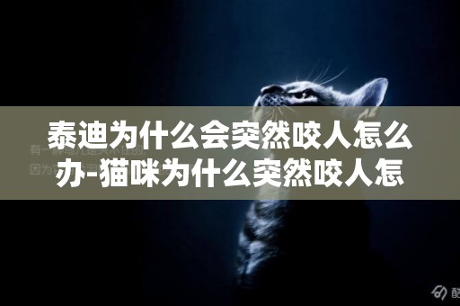 泰迪為什么會突然咬人怎么辦-貓咪為什么突然咬人怎么辦