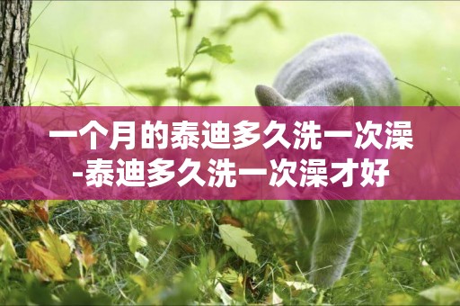 一個月的泰迪多久洗一次澡-泰迪多久洗一次澡才好