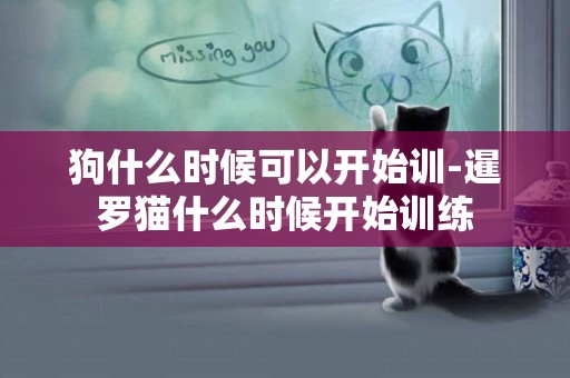 狗什么時候可以開始訓-暹羅貓什么時候開始訓練