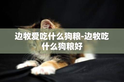 邊牧愛吃什么狗糧-邊牧吃什么狗糧好