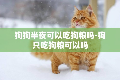 狗狗半夜可以吃狗糧嗎-狗只吃狗糧可以嗎