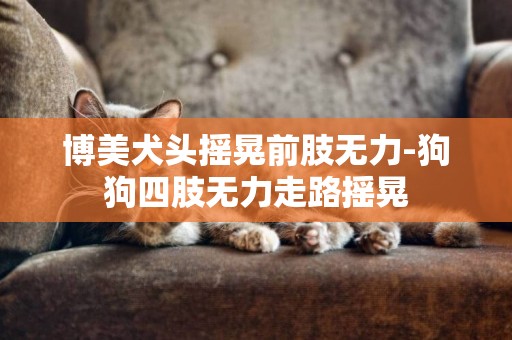 博美犬頭搖晃前肢無力-狗狗四肢無力走路搖晃