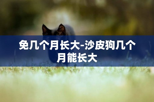 免幾個月長大-沙皮狗幾個月能長大