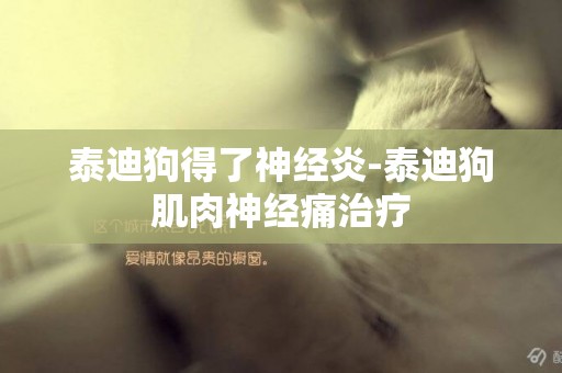 泰迪狗得了神經炎-泰迪狗肌肉神經痛治療