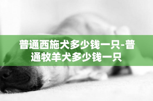 普通西施犬多少錢一只-普通牧羊犬多少錢一只