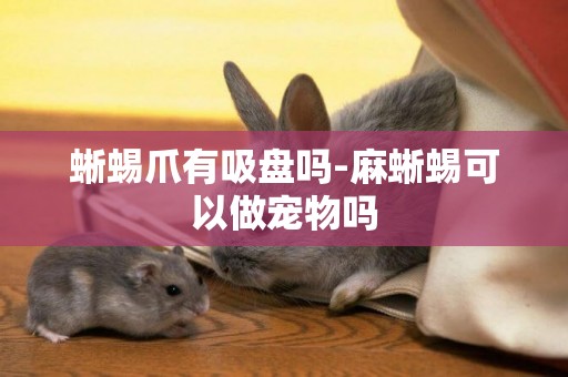 蜥蜴爪有吸盤嗎-麻蜥蜴可以做寵物嗎