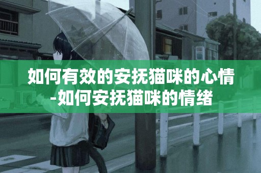 如何有效的安撫貓咪的心情-如何安撫貓咪的情緒