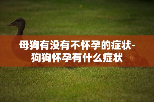 母狗有沒有不懷孕的癥狀-狗狗懷孕有什么癥狀